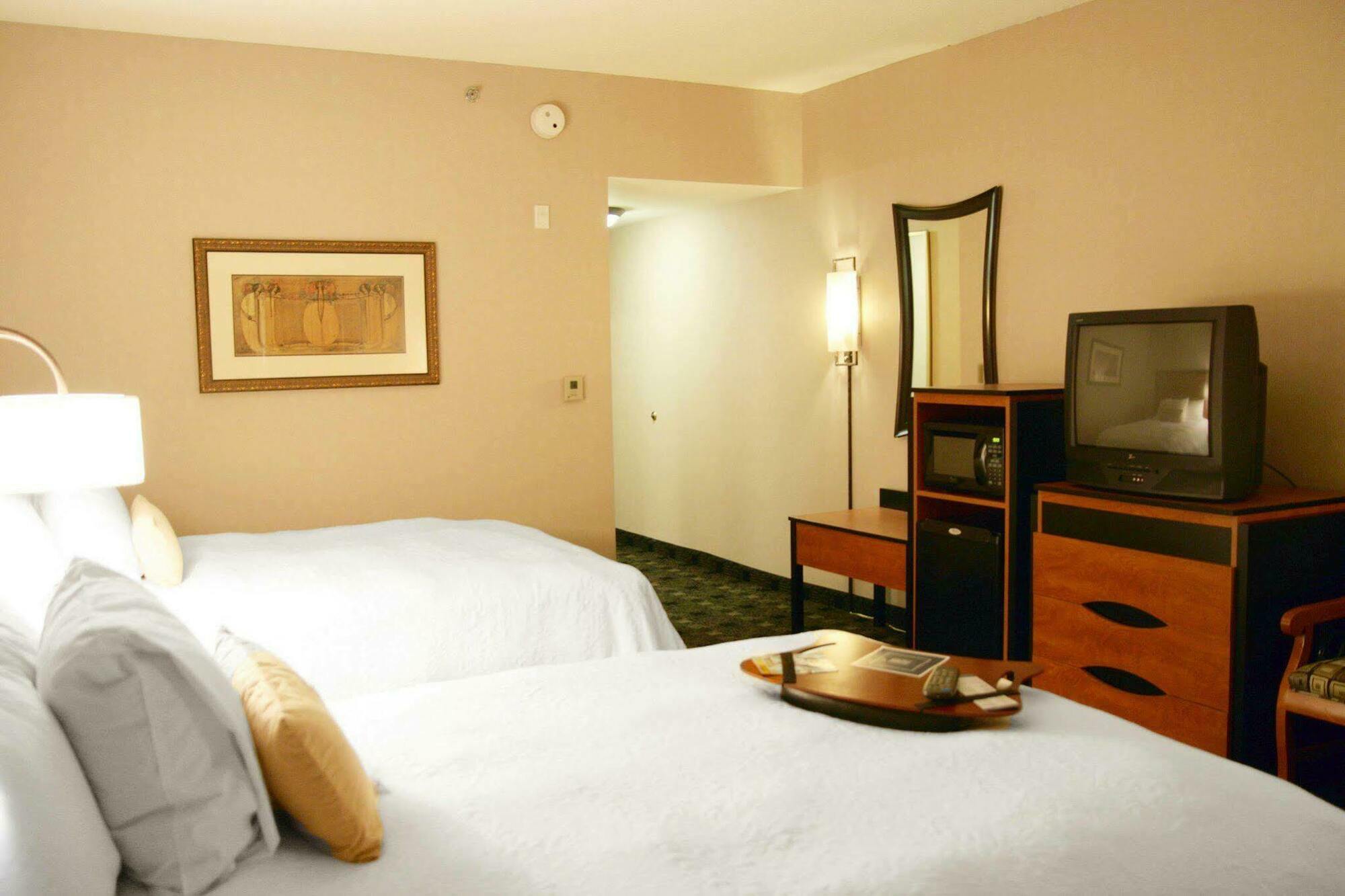 Hampton Inn And Suites Indianapolis-Fishers Ruang foto